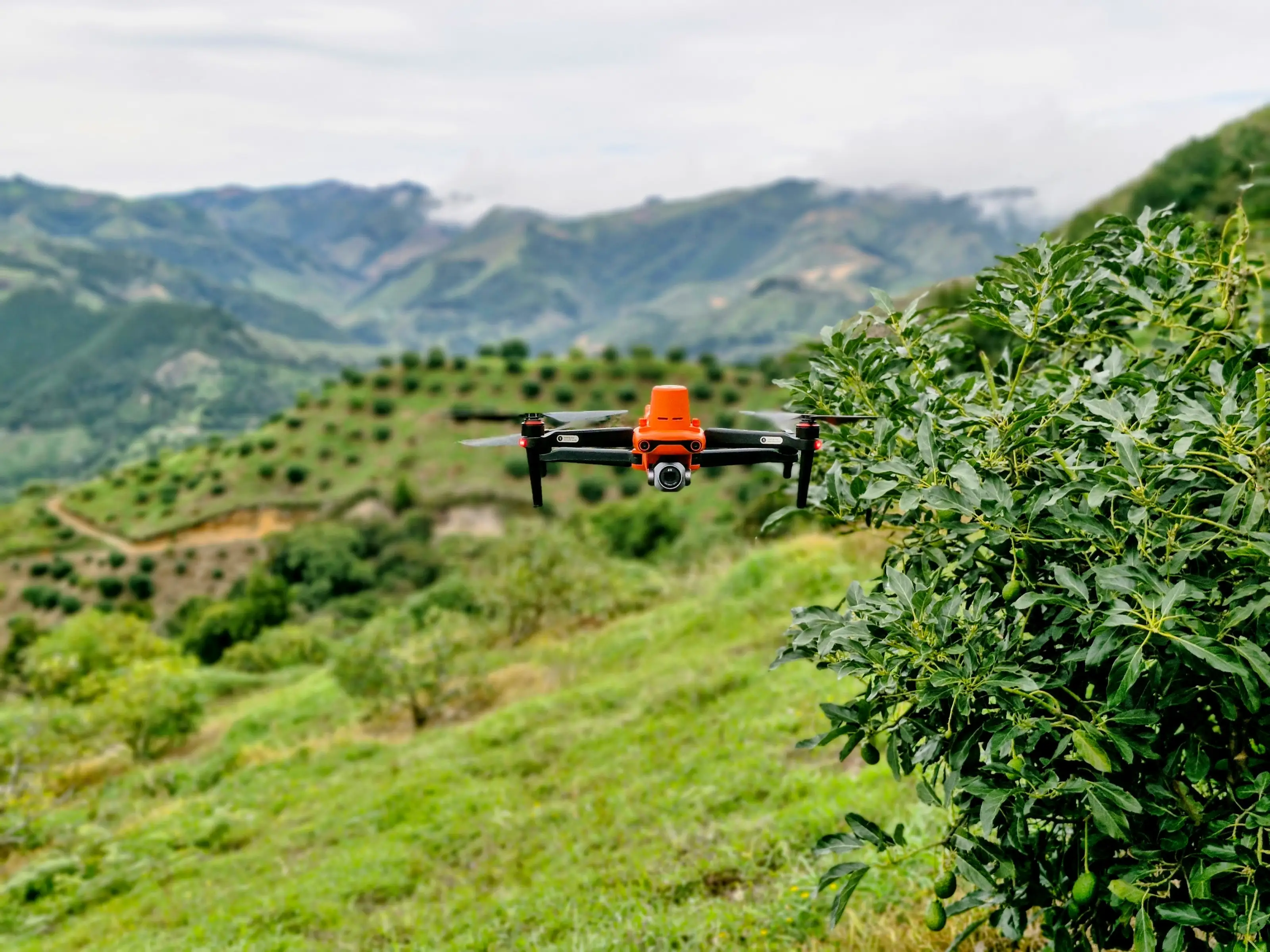 Beautiful farm landscape